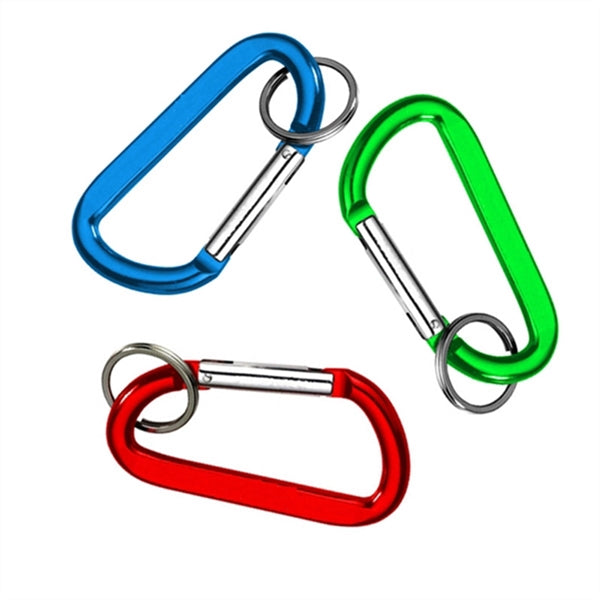 Budget Carabiner Key Chain