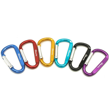 Budget Carabiner Key Chain