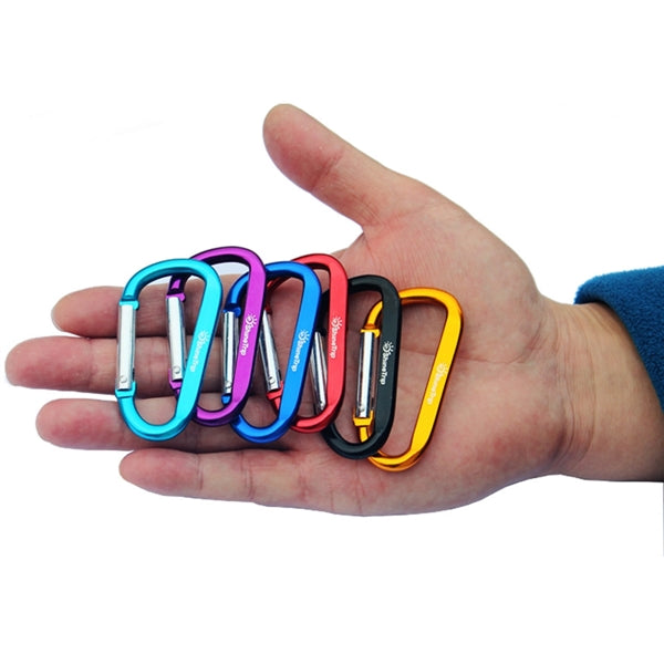 Budget Carabiner Key Chain