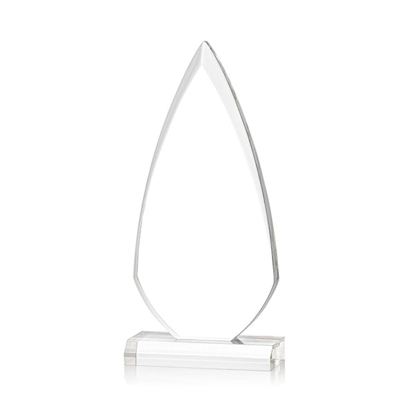 Vanderbilt Award