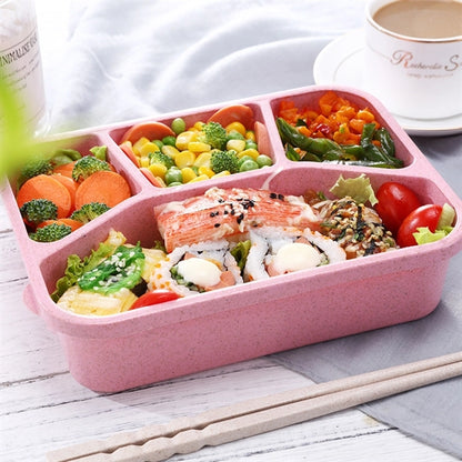 4 Compartment Containers Lunch Bento Box