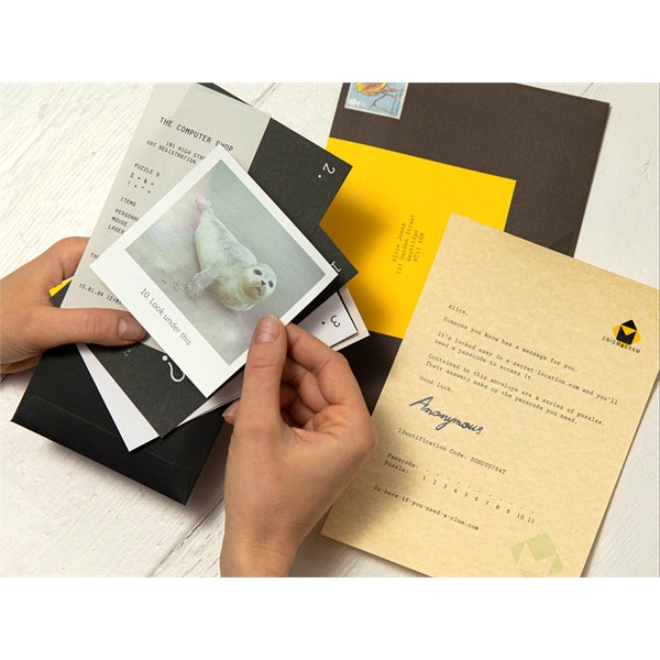 Puzzle Mailer - The Enigmagram an Escape Room Puzzle Gift