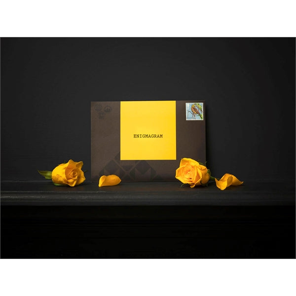 Puzzle Mailer - The Enigmagram an Escape Room Puzzle Gift