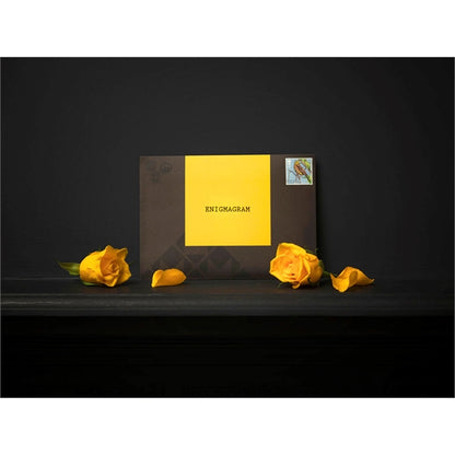 Puzzle Mailer - The Enigmagram an Escape Room Puzzle Gift