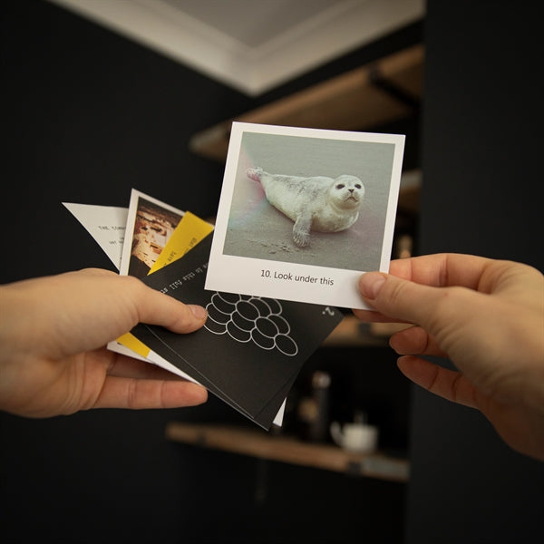 Puzzle Mailer - The Enigmagram an Escape Room Puzzle Gift