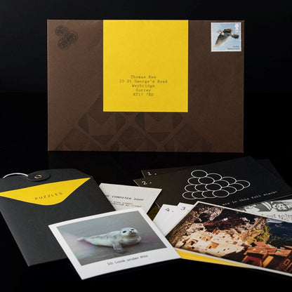 Puzzle Mailer - The Enigmagram an Escape Room Puzzle Gift