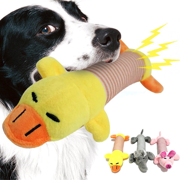 Funny Dog Squeaky  Chew Toys