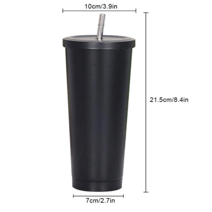 25 Oz Stainless Steel Skinny Tumbler With Straw And Lid