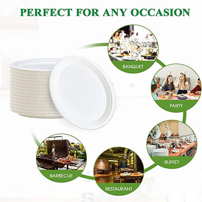 7" Disposable Paper Plate