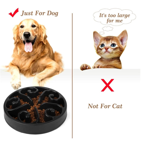 Fun Slow Feeder Pet Bowl