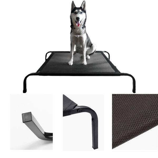 Elevated Pet Bed For Dogs