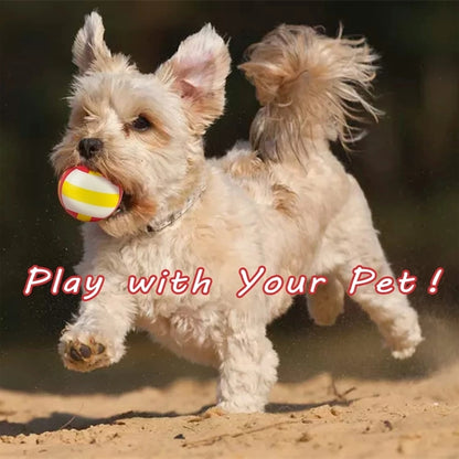 Mini Sport Stress Ball Bulk