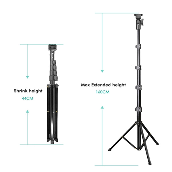 Phone Tripod & Selfie Stick