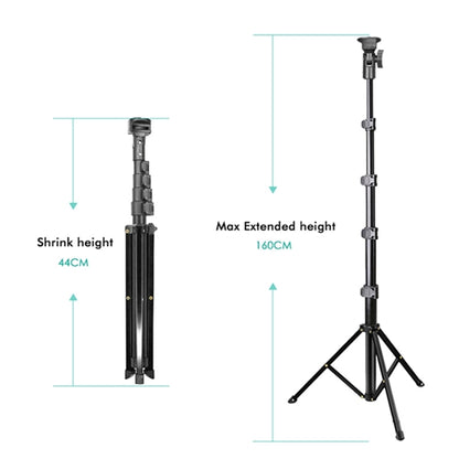 Phone Tripod & Selfie Stick