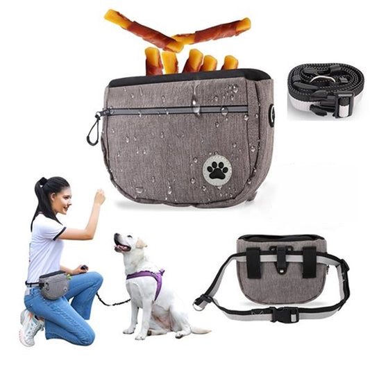 Dog Treat Training Dispenser