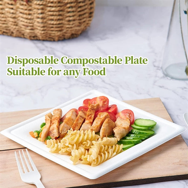 Biodegradable Disposable Square Plates