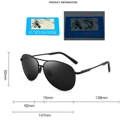 Aviator Sunglasses with Case