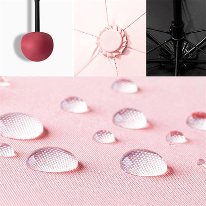Summer Mini Fan And Umbrella Set