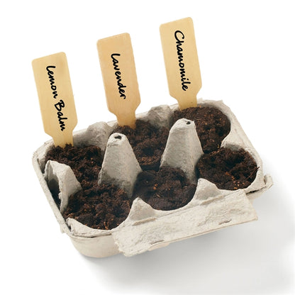 Zen Garden Grow Kit
