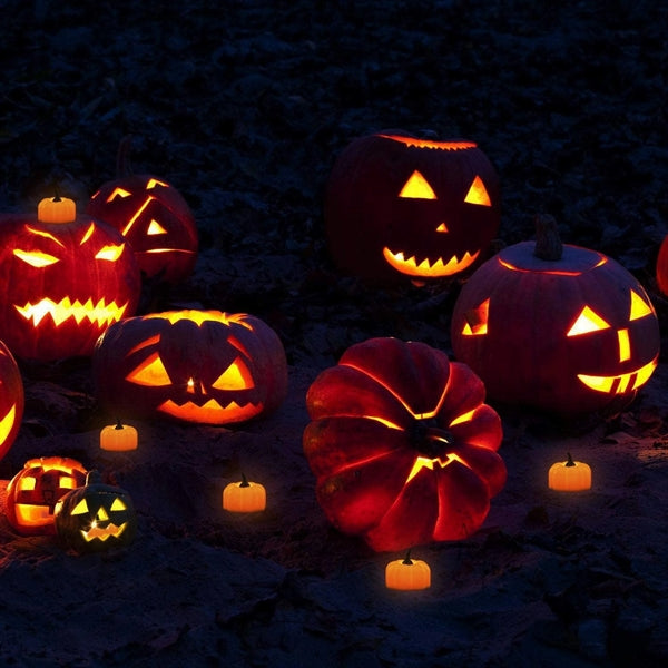 Halloween 12 Pack Led Pumpkin Light