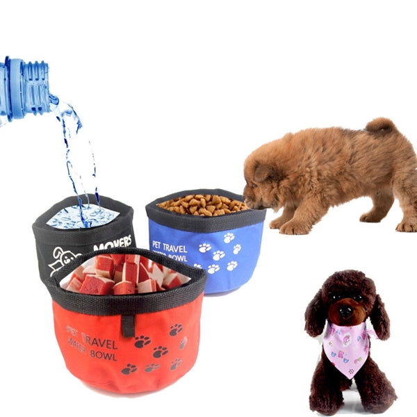 Collapsible Travlel Pet Bowl