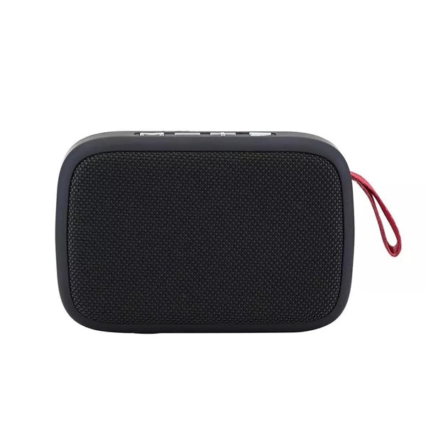 Wireless Speaker with Hook