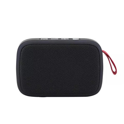 Wireless Speaker with Hook