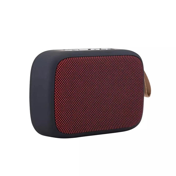 Wireless Speaker with Hook