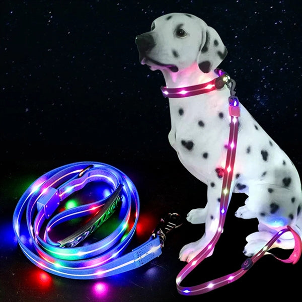 LED Light UP Dog Leash