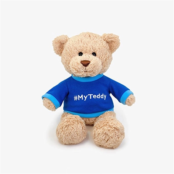 Plush Teddy Bear With T-Shirt