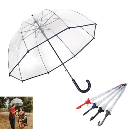 Clear Umbrella
