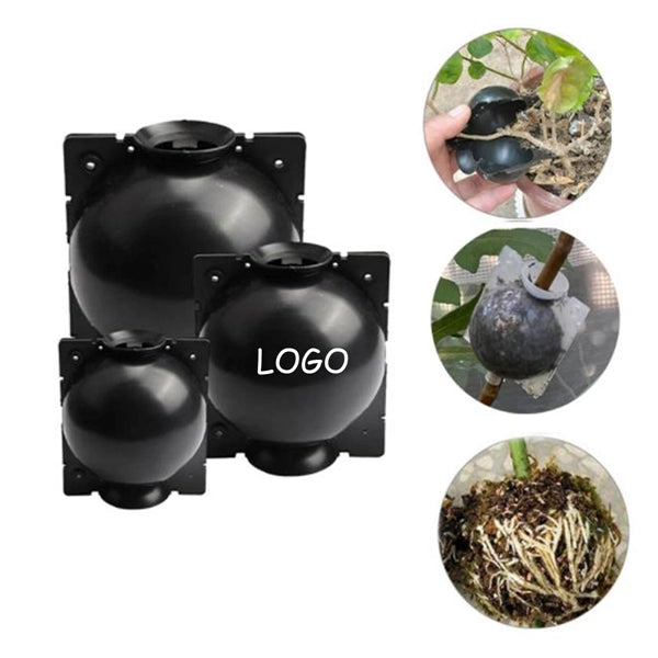 Plant Root Growing Box