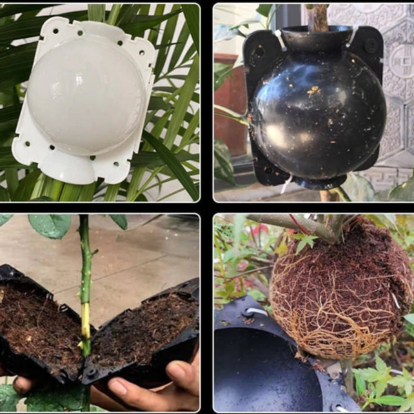 Plant Root Growing Box