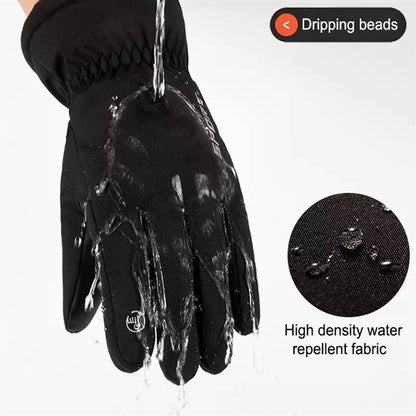 Winter Gloves