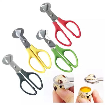 Bird Quail Egg Scissors