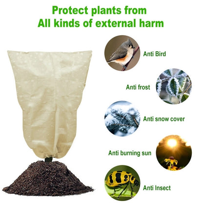 Winter Plant Freeze Cover