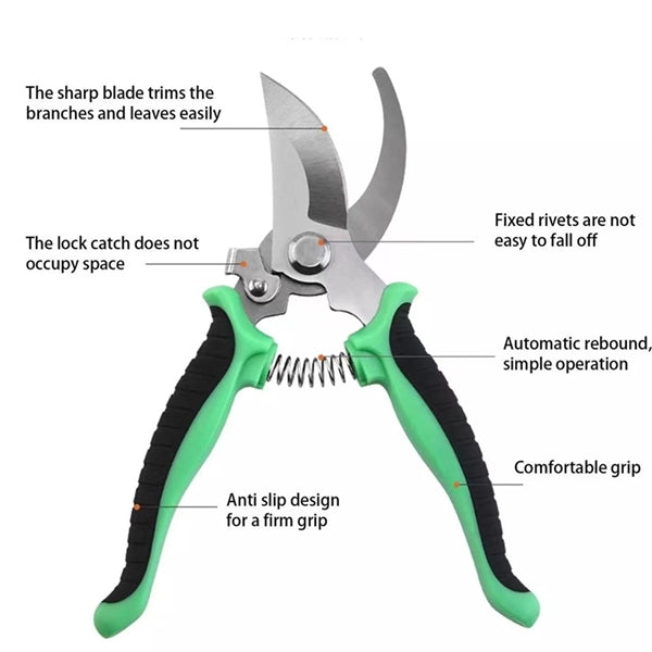 Pruning Fruit Tree Flower Scissors