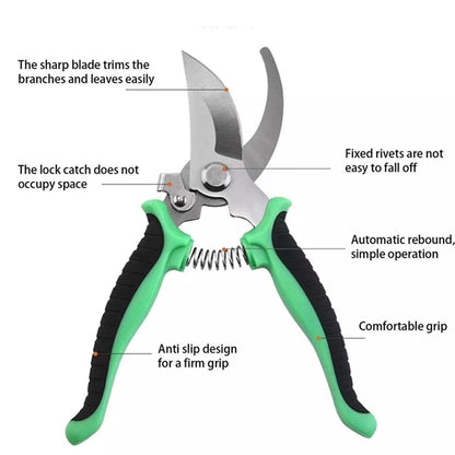 Pruning Fruit Tree Flower Scissors