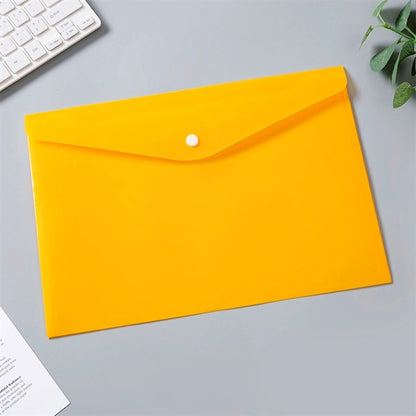 Plastic File Folder
