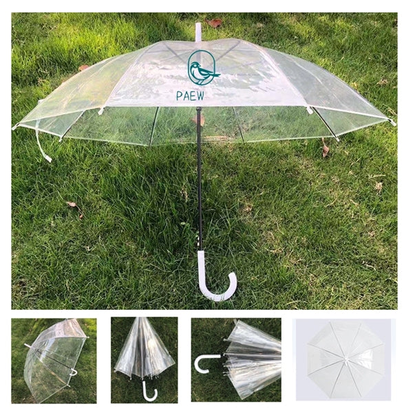 Transparent Umbrella