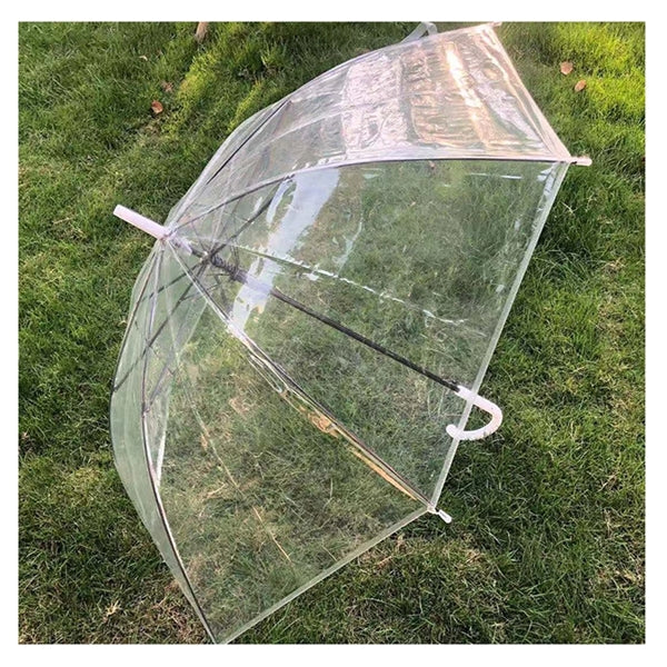 Transparent Umbrella
