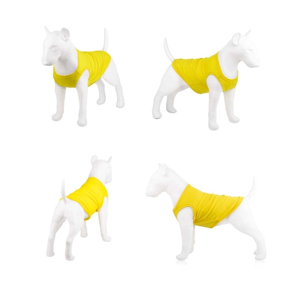 Plain Dog Shirts
