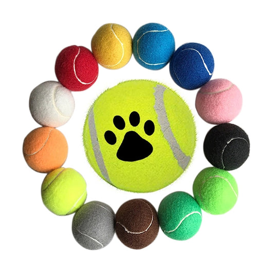 Tennis Balls for Pet Training