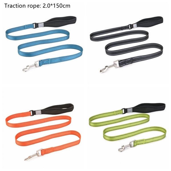Hands Free dog walking Treat Pouch Bag