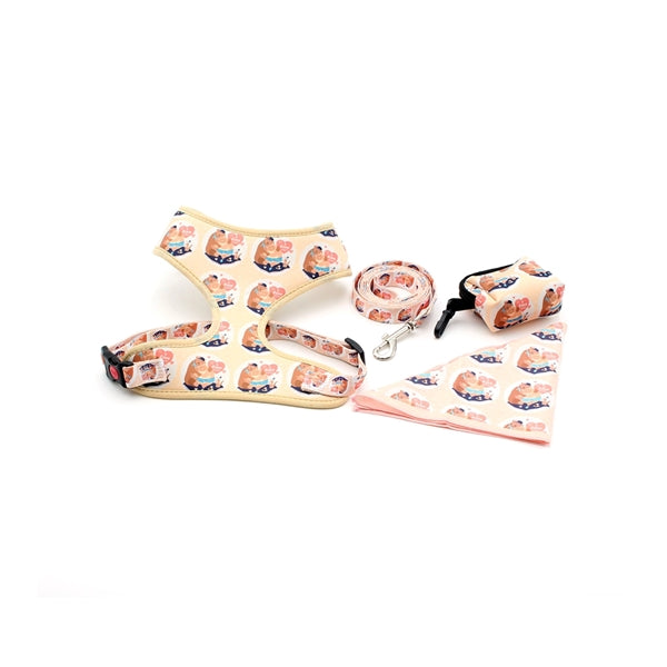 Pet Harness Vest with Breathable Mesh Sublimation