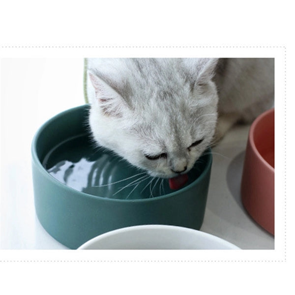 8" Ceramic Pet Bowl