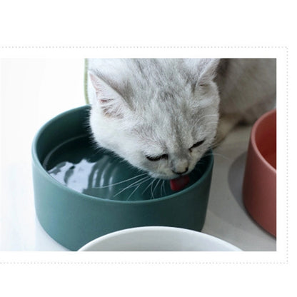 8" Ceramic Pet Bowl