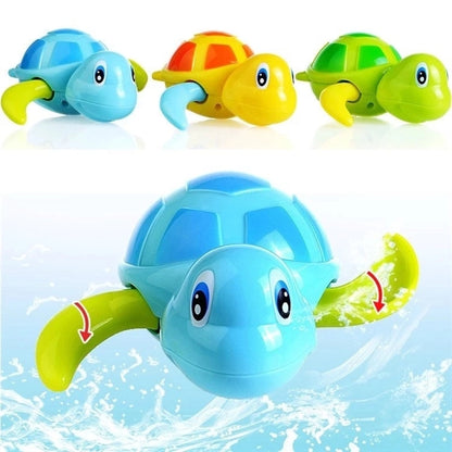 Cool Tour Turtle