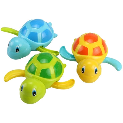 Cool Tour Turtle