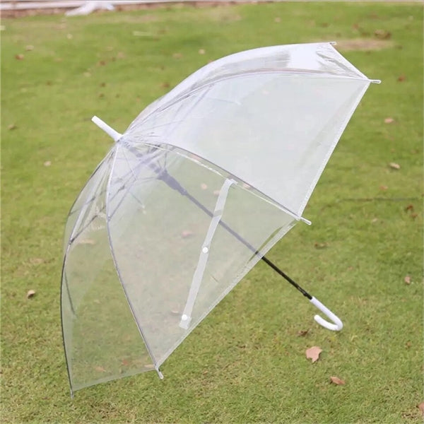 Clear Colourful Auto Open Umbrella